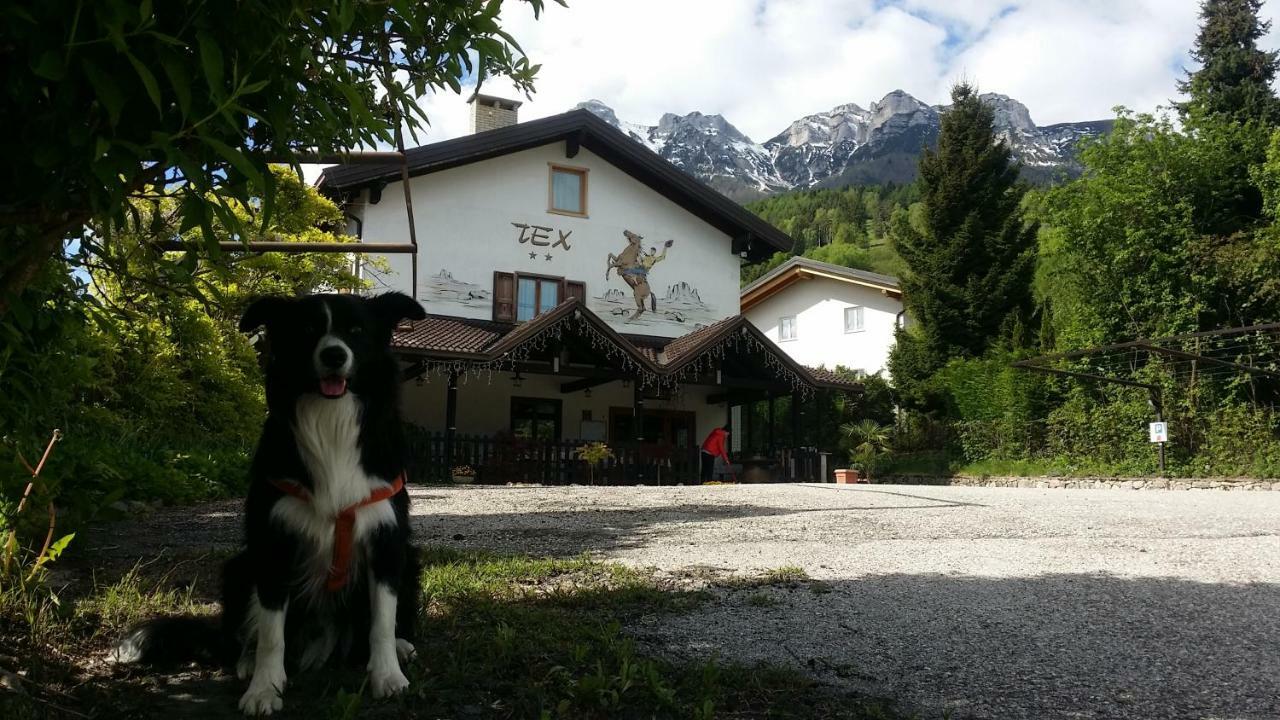 Bed and Breakfast Botton D'Oro Delle Dolomiti Vattaro Exterior foto